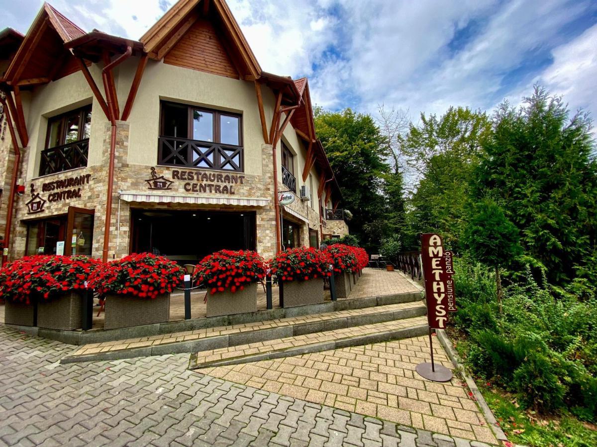 Amethyst Bed & Breakfast Sovata Exterior foto