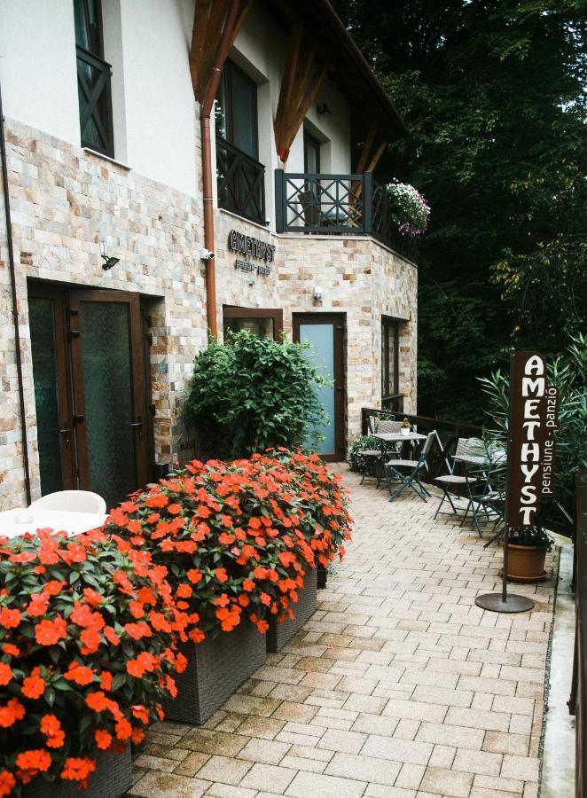 Amethyst Bed & Breakfast Sovata Exterior foto