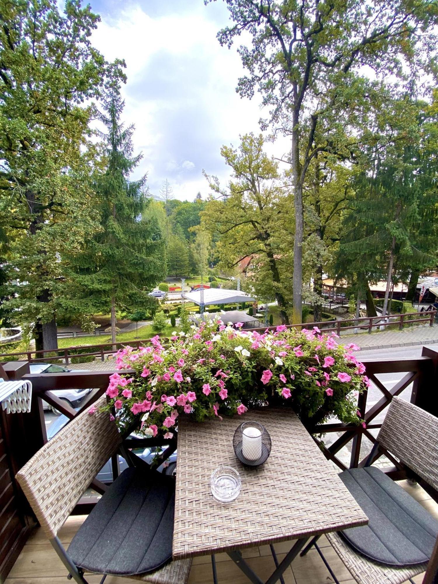 Amethyst Bed & Breakfast Sovata Exterior foto